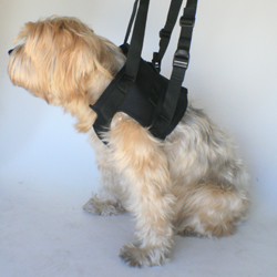 Nooby's Disposable Reusable Veterinary Booty - Your first line of defense against infected bandages splints and casts