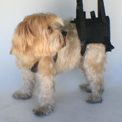 Nooby's Disposable Reusable Veterinary Booty - Your first line of defense against infected bandages splints and casts